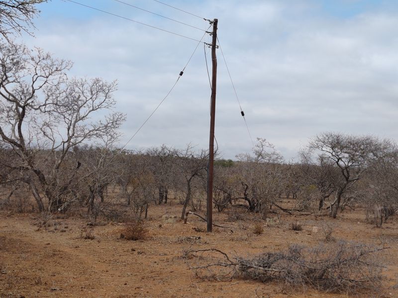 LIVESTOCK FARM IN BANDELIERKOP - Photo 7