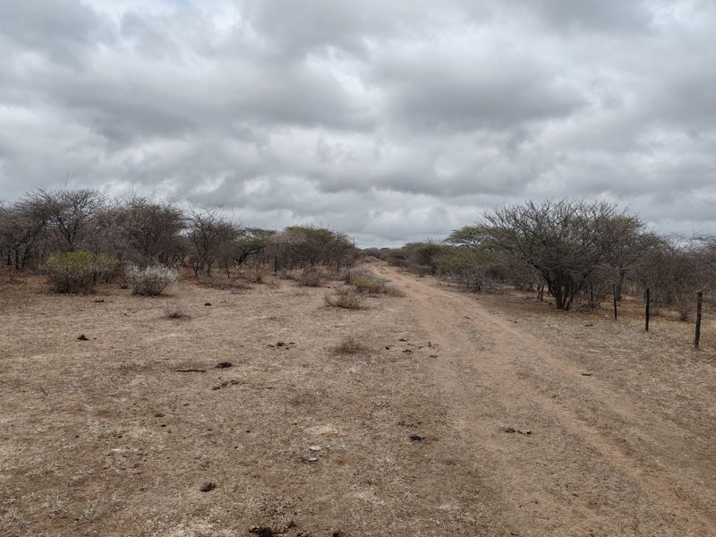 LIVESTOCK FARM IN BANDELIERKOP - Photo 6