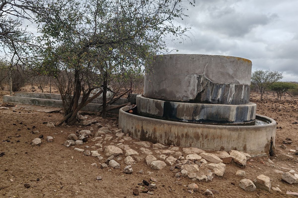 LIVESTOCK FARM IN BANDELIERKOP - Photo 2