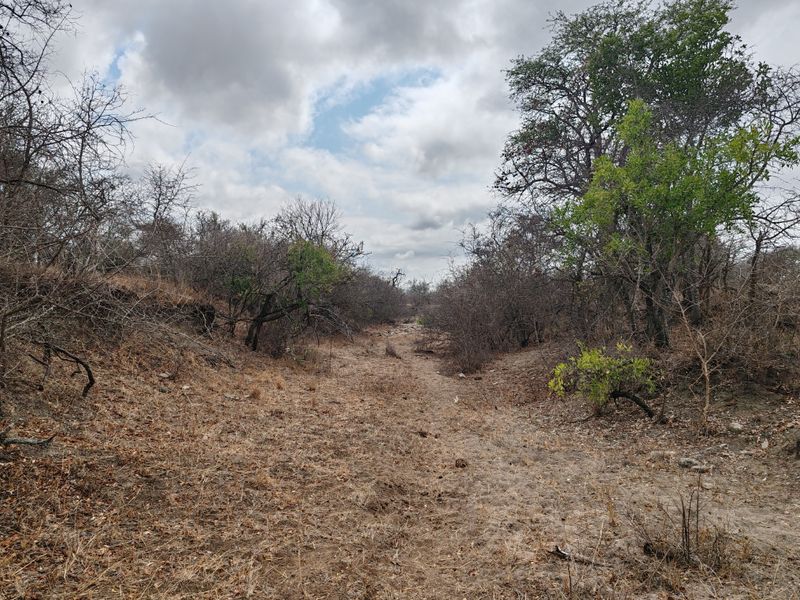 LIVESTOCK FARM IN BANDELIERKOP - Photo 4