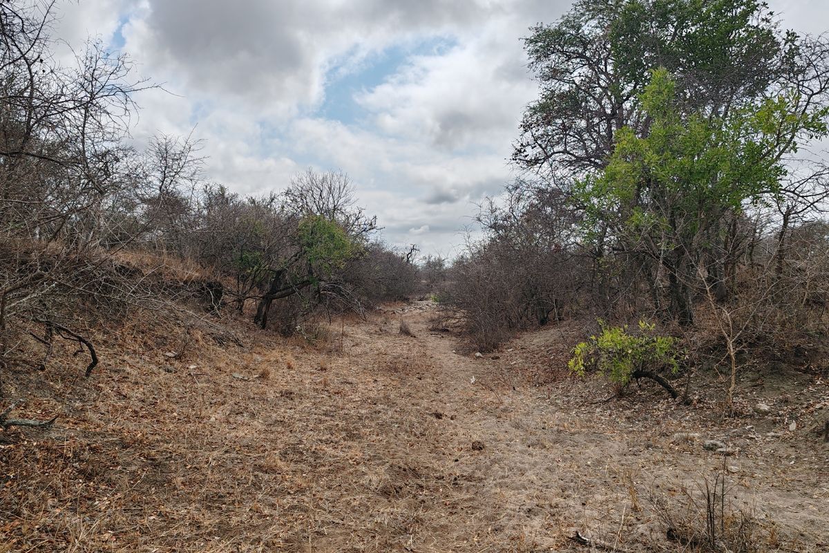 LIVESTOCK FARM IN BANDELIERKOP - Photo 4
