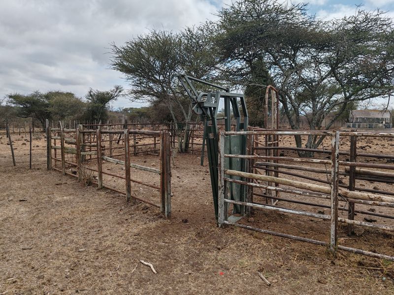 LIVESTOCK FARM IN BANDELIERKOP - Photo 3