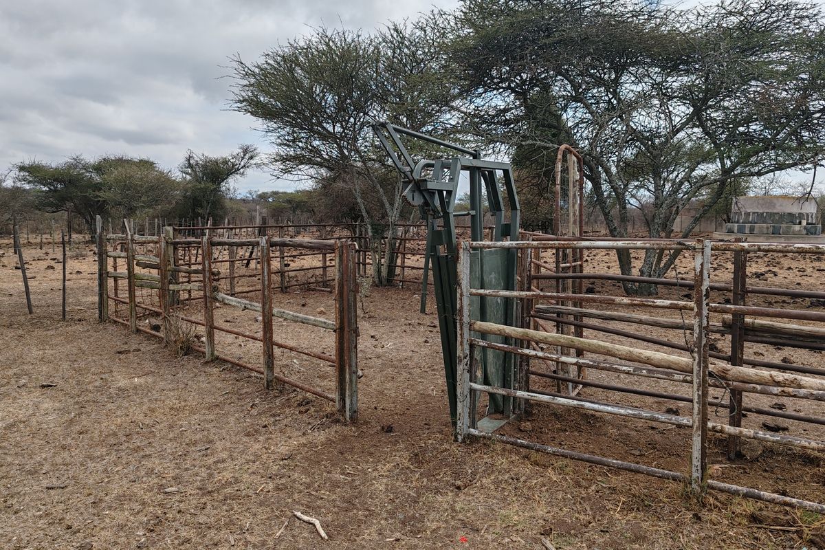 LIVESTOCK FARM IN BANDELIERKOP - Photo 3