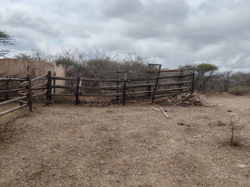 LIVESTOCK FARM IN BANDELIERKOP - Photo 10