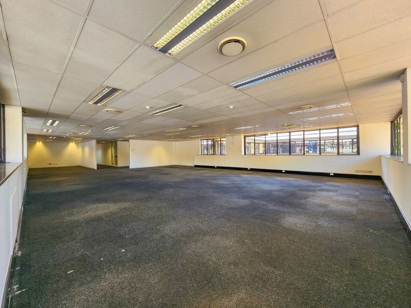 Spacious open-plan office area featuring suspended ceilings, recessed lighting, and large windows providing ample natural light.