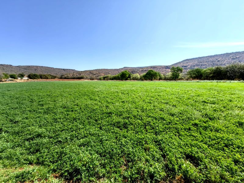 Groot Marico - Excellent farm -Water, water and more water! - Photo 2