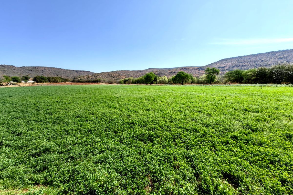 Groot Marico - Excellent farm -Water, water and more water! - Photo 2