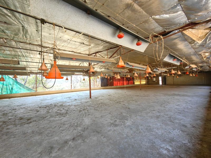 Groot Marico - Excellent farm -Water, water and more water! - Photo 3