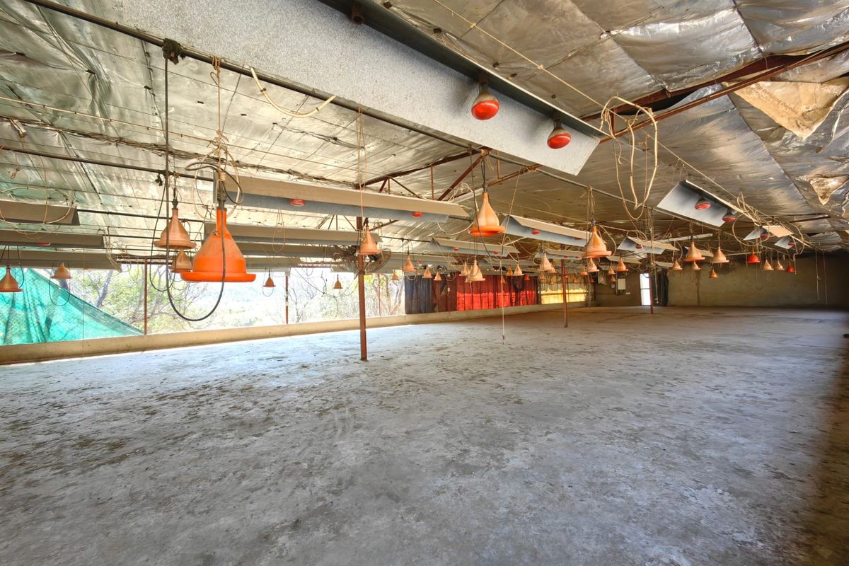 Groot Marico - Excellent farm -Water, water and more water! - Photo 3