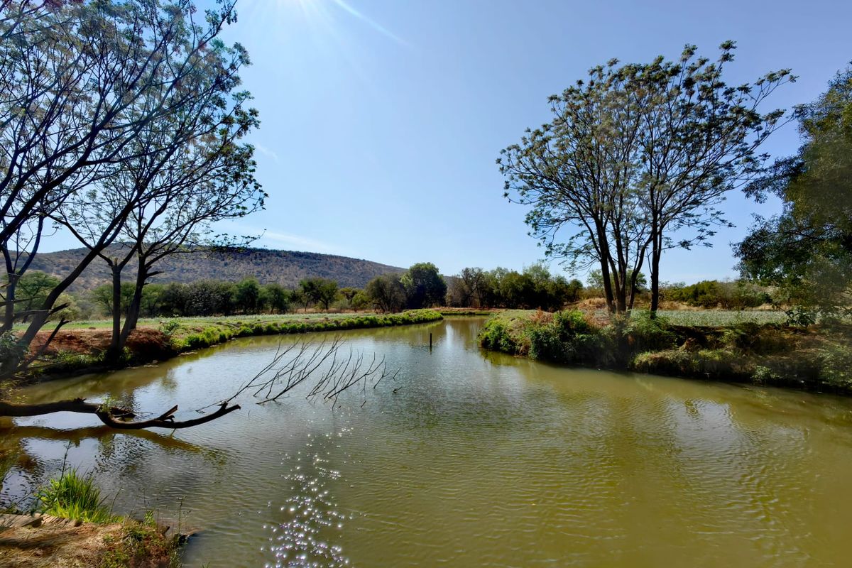 A scenic view of a natural water feature on the farm, surrounded by mature trees and open landscape under a clear sky.