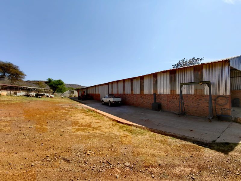 Groot Marico - Excellent farm -Water, water and more water! - Photo 6