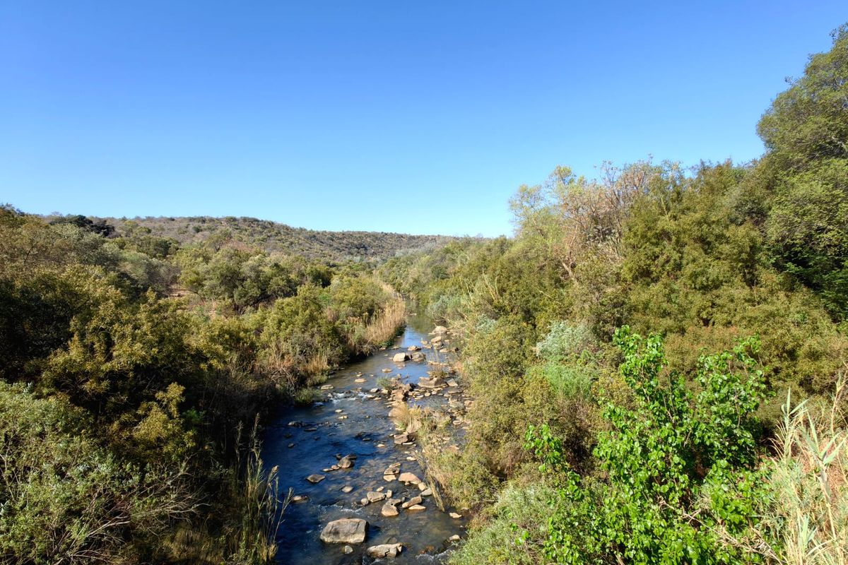 Groot Marico - Stunning River front property in the heart of the Bushveld - Photo 2