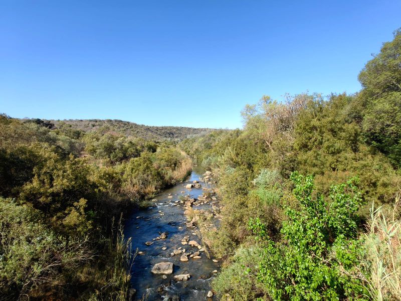 A scenic view of a natural river flowing through the farm landscape, surrounded by lush indigenous trees and rocky terrain.