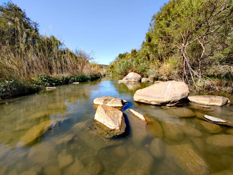A scenic view of a natural stream flowing through the farm property, featuring clear water, rock formations, and surrounding native vegetation.