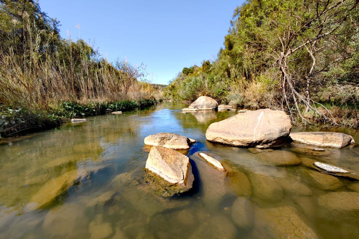 A scenic view of a natural stream flowing through the farm property, featuring clear water, rock formations, and surrounding native vegetation.
