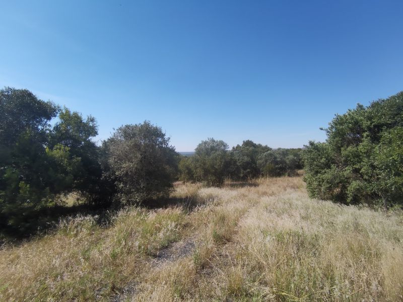 A scenic view of the natural farm landscape featuring mature trees and open grassy terrain under a clear blue sky.