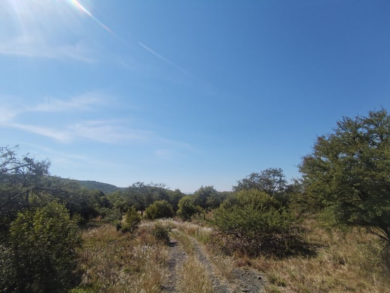 A scenic view of the natural landscape featuring native vegetation and a dirt track leading through the farm property.