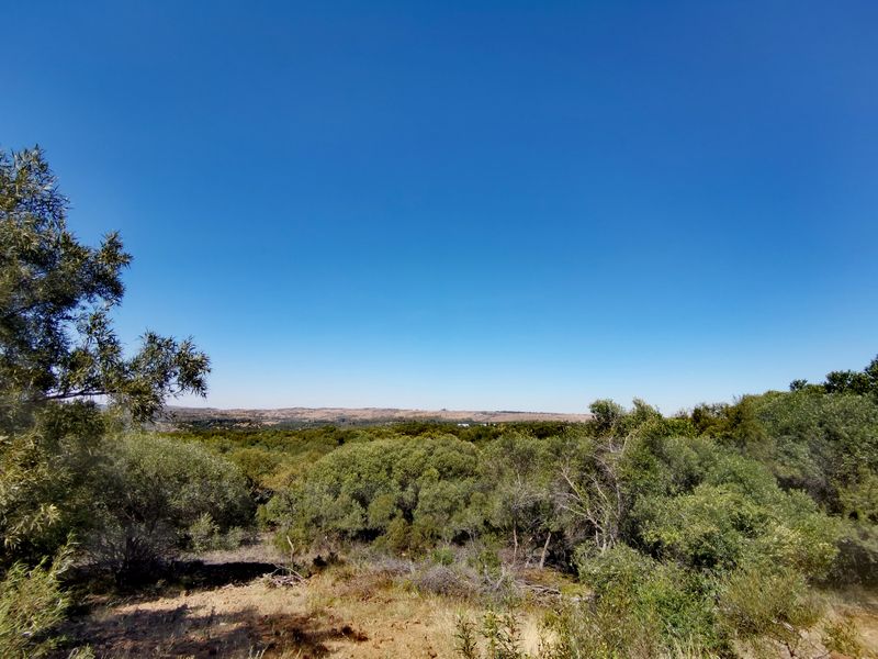 A scenic, elevated view overlooking the expansive natural landscape and native vegetation of the farm property.
