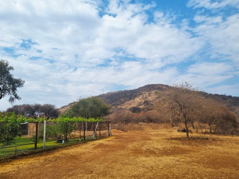 Limpopo – Magnificent Game Farm & Lodge - A Rare Investment Opportunity - Photo 9
