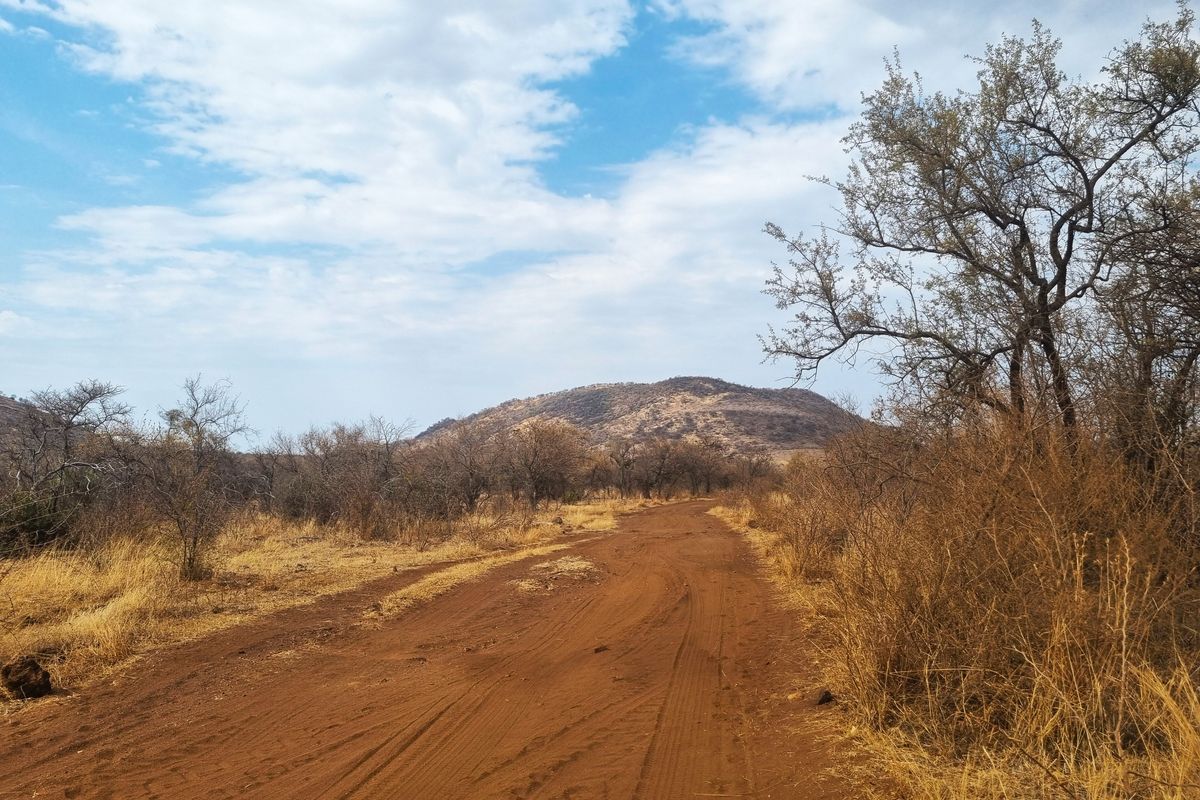 Limpopo – Magnificent Game Farm & Lodge - A Rare Investment Opportunity - Photo 2