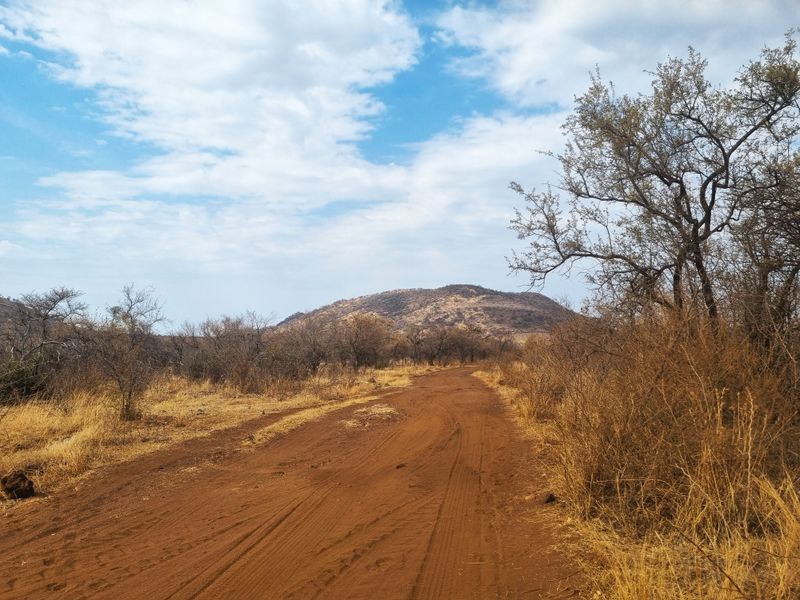 A scenic view of a dirt farm road leading towards a distant hill, surrounded by natural bushveld vegetation and open landscape.