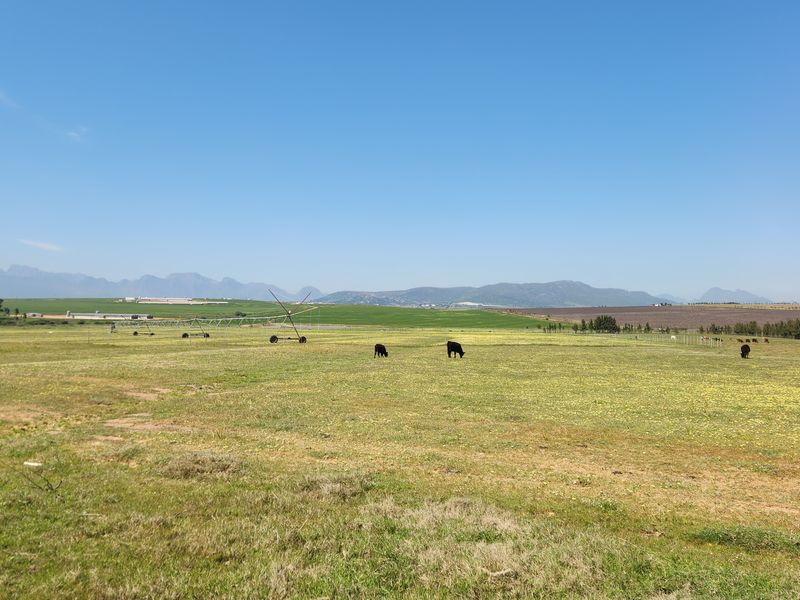 Farm for sale in Paardeberg, Paarl - Photo 7
