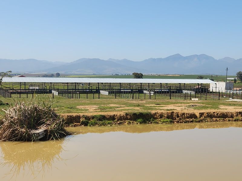 Farm for sale in Paardeberg, Paarl - Photo 10