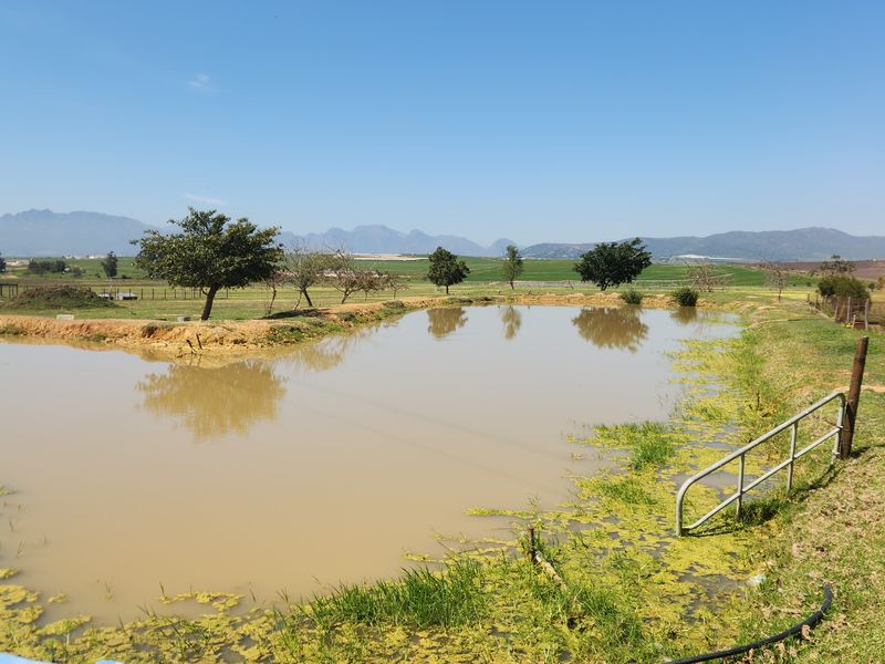 Farm for sale in Paardeberg, Paarl - Photo 9