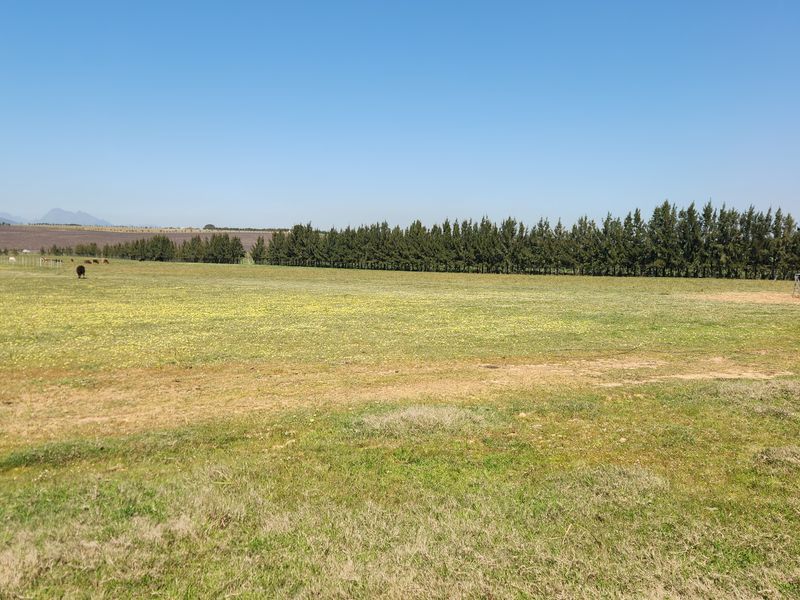 Farm for sale in Paardeberg, Paarl - Photo 8