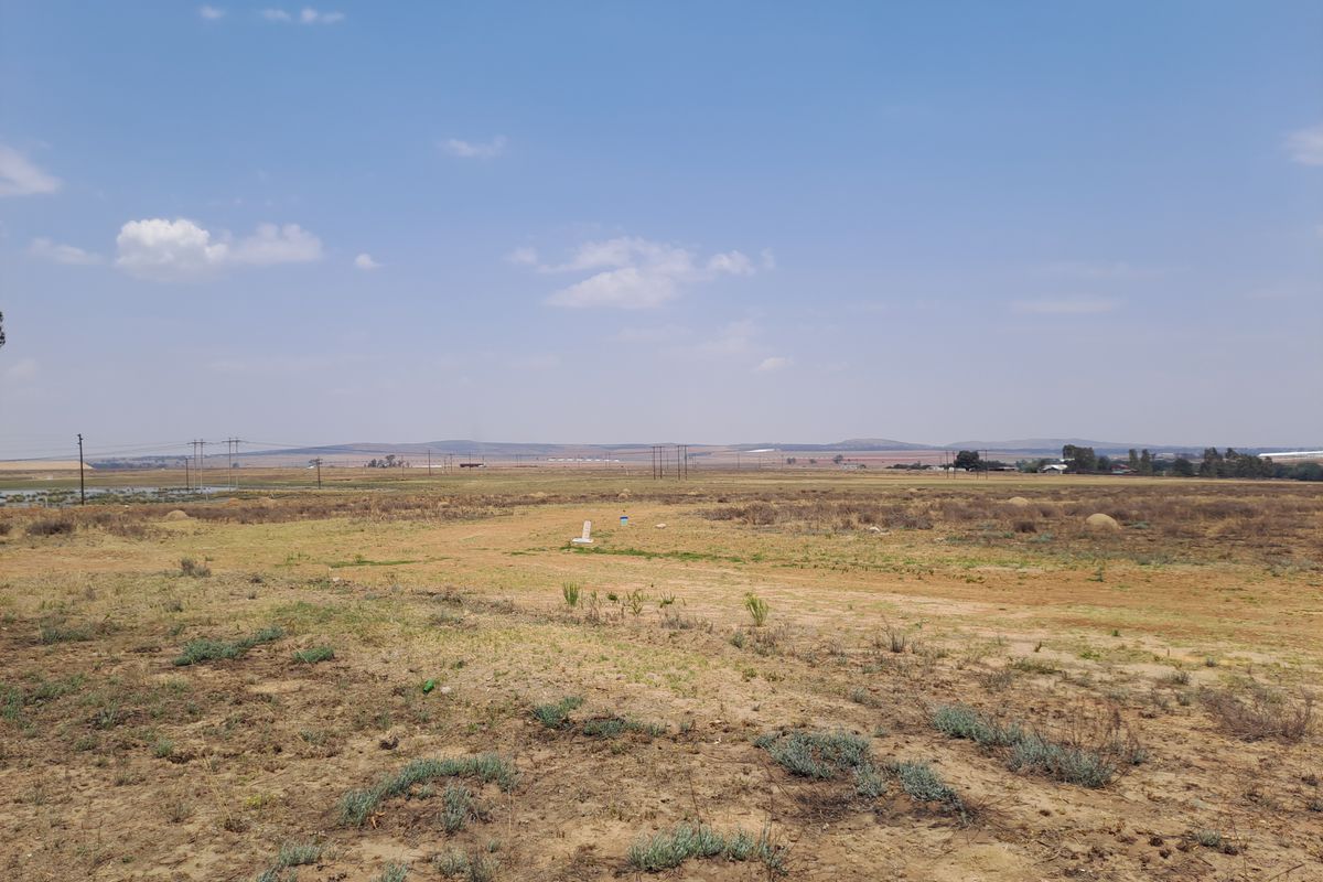 Vacant Commercial Stand for Sale – Ideal Investment Opportunity - Photo 5