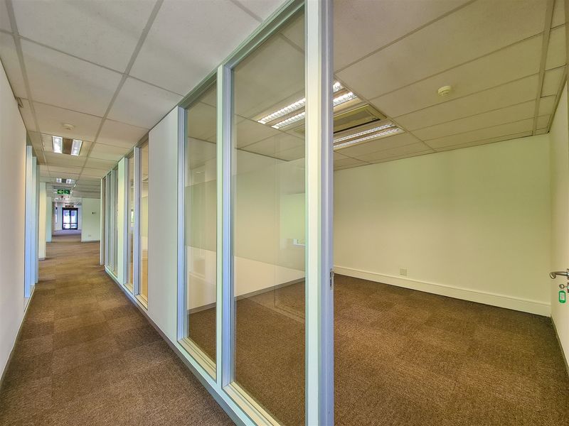 A bright, vacant office space featuring glass partition walls, suspended ceilings with recessed lighting, and neutral carpet flooring, ideal for a professional workspace.