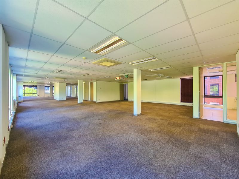 A spacious, open-plan office area featuring a suspended ceiling, recessed lighting, and carpeted flooring, offering a versatile workspace layout.