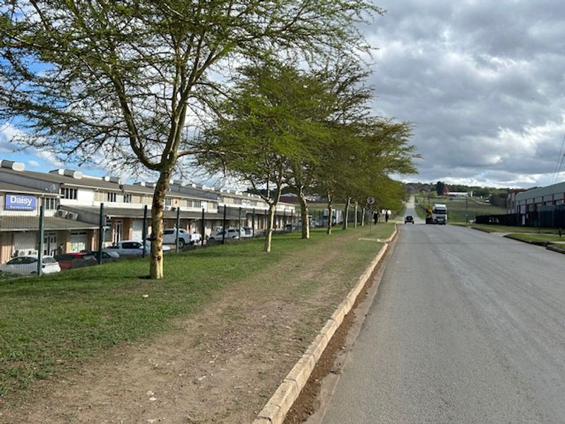 Street view of a commercial industrial park featuring a row of units with parking, mature trees, and direct road access.