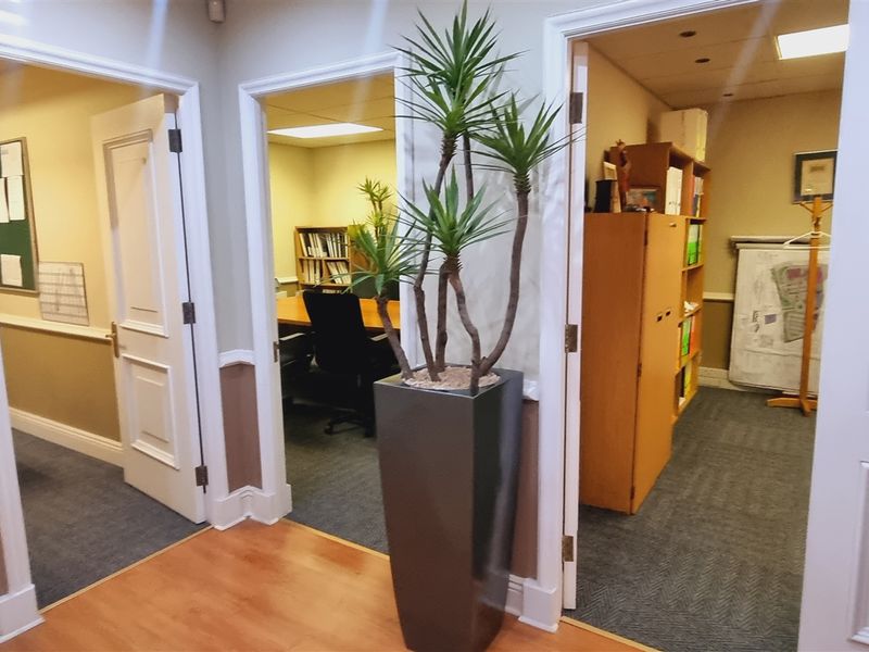 A bright office hallway featuring laminate flooring, white panelled door frames, and access to multiple individual office suites with carpeted flooring.