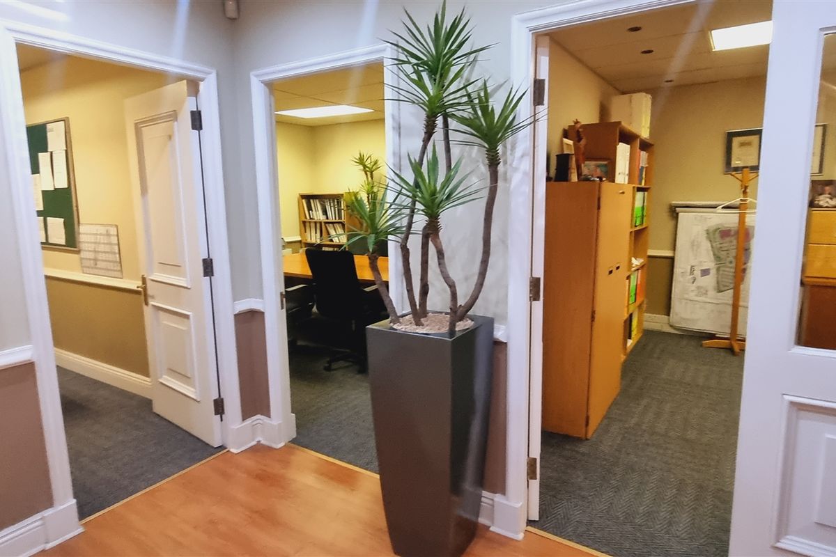 A bright office hallway featuring laminate flooring, white panelled door frames, and access to multiple individual office suites with carpeted flooring.