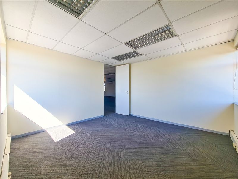 A bright, empty office space featuring neutral walls, carpet tile flooring, and a suspended ceiling with recessed lighting.