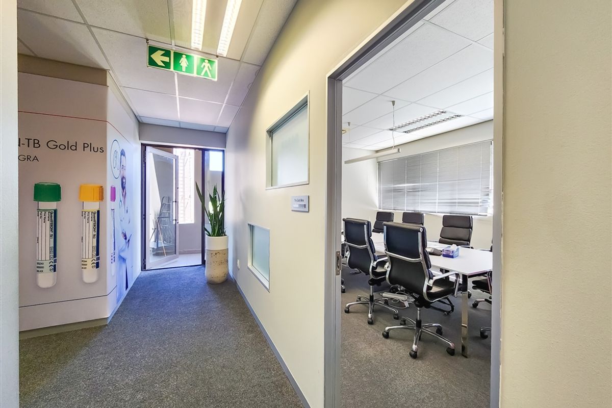 155m2 Ground Floor Office to Let in Cedar Tree Office Park - Photo 5