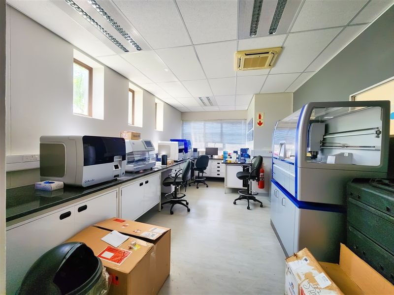 155m2 Ground Floor Office to Let in Cedar Tree Office Park - Photo 4