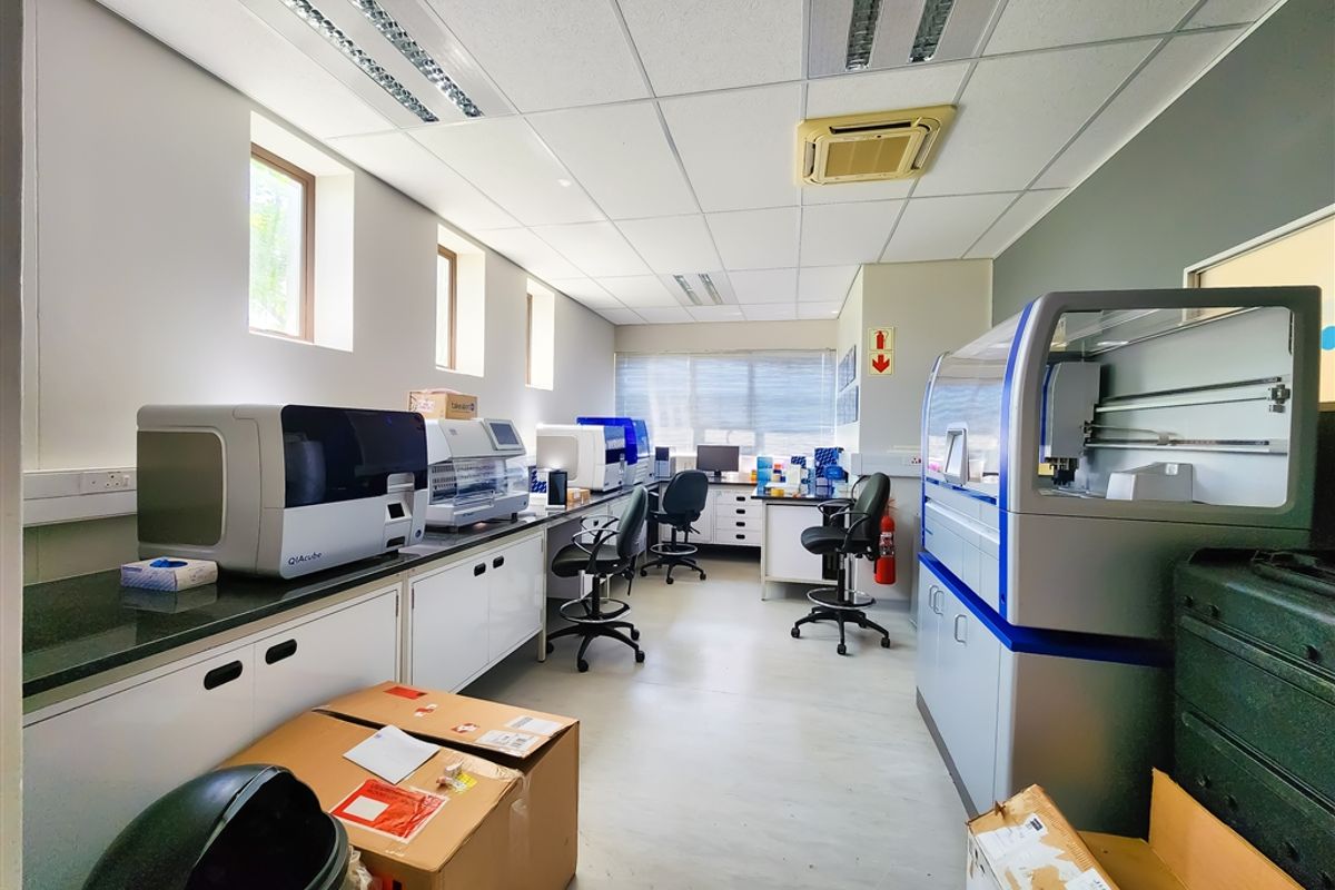 155m2 Ground Floor Office to Let in Cedar Tree Office Park - Photo 4