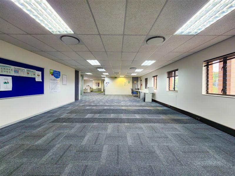 Spacious open-plan office area featuring suspended ceilings, recessed lighting, and durable carpet tiles, providing a clean and functional workspace environment.