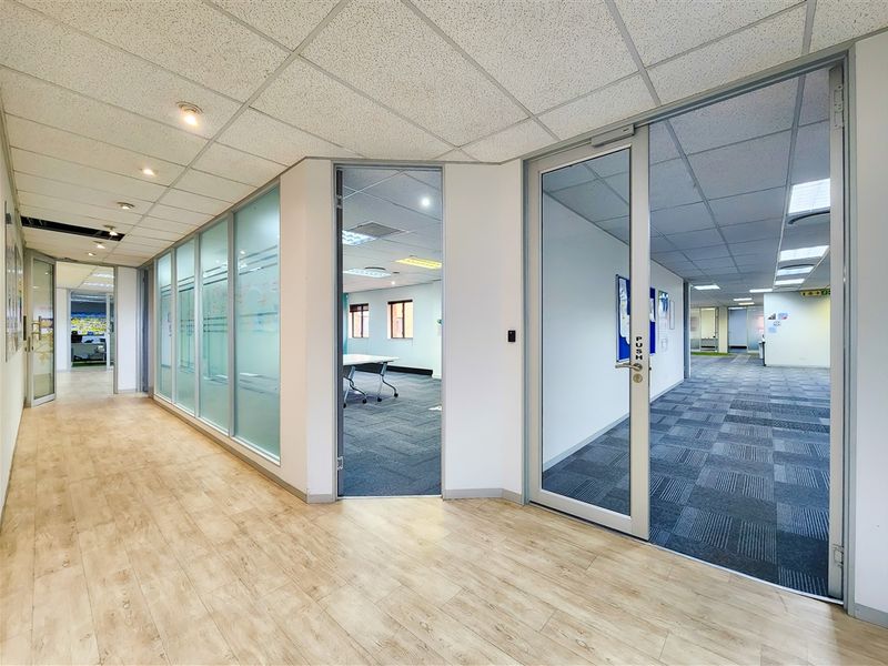 A bright office hallway featuring glass partitions, suspended ceilings, and a combination of wood-look vinyl and carpet tile flooring.