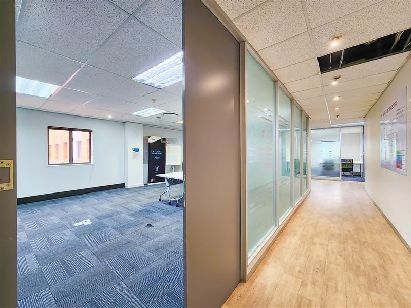 Modern office space featuring glass partitions, suspended ceilings, and a mix of carpet and wood-look flooring, offering a professional and flexible work environment.