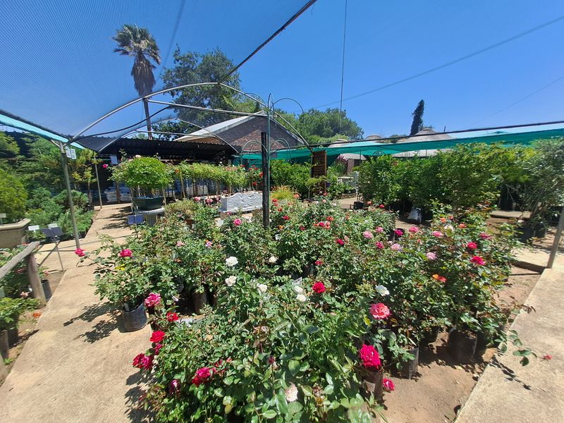 Charming Nursery for Sale – A Blossoming Business Opportunity! - Photo 3