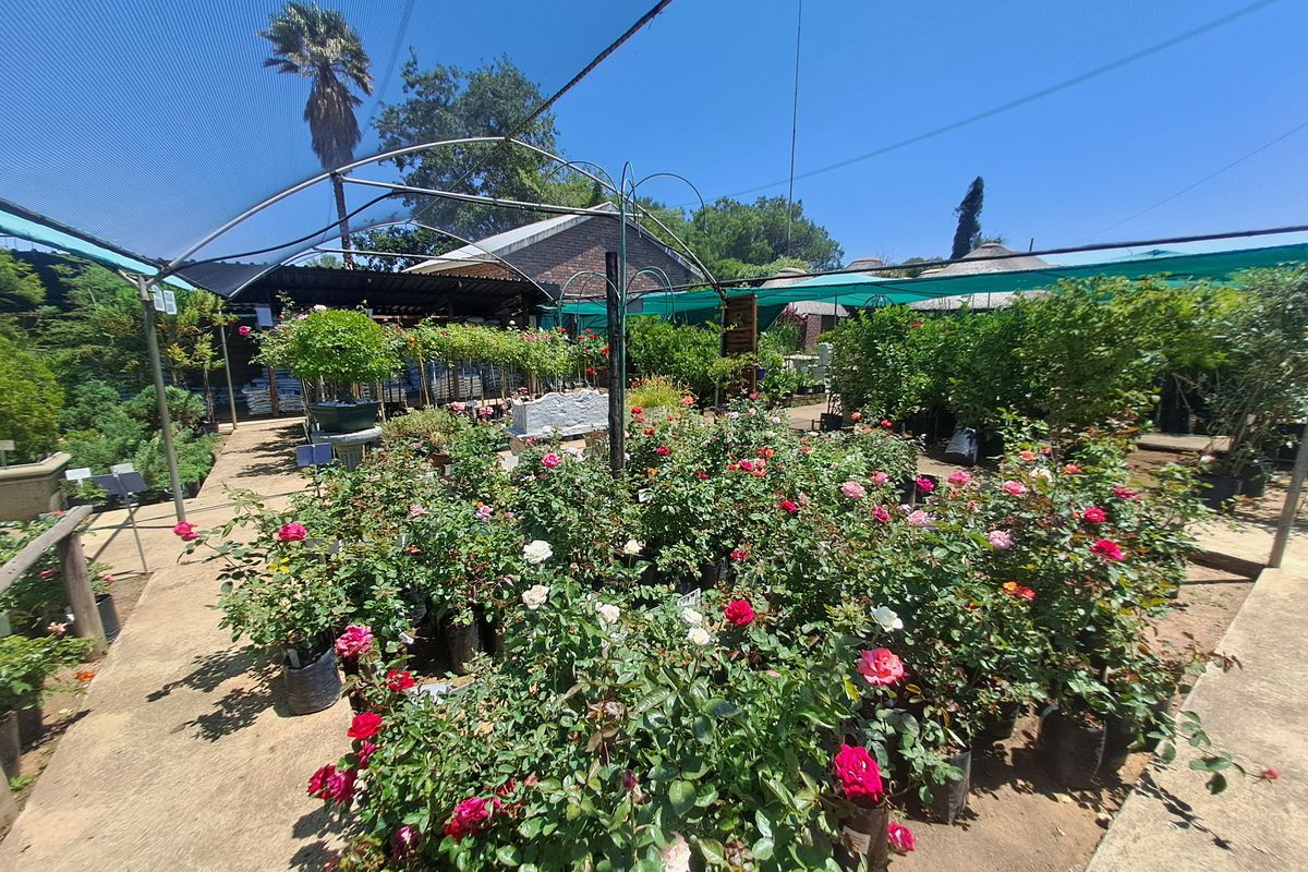 Charming Nursery for Sale – A Blossoming Business Opportunity! - Photo 3