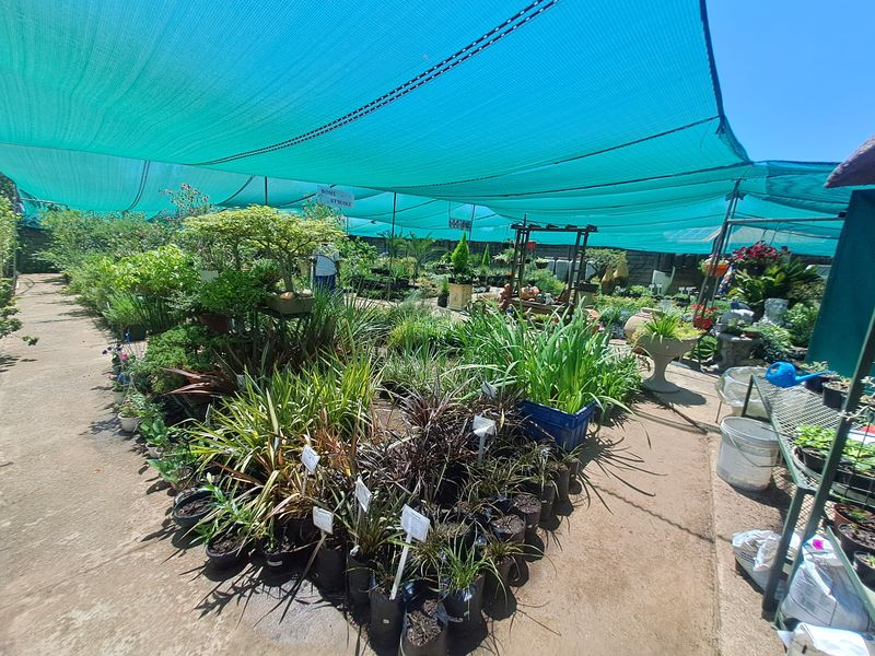 Charming Nursery for Sale – A Blossoming Business Opportunity! - Photo 9