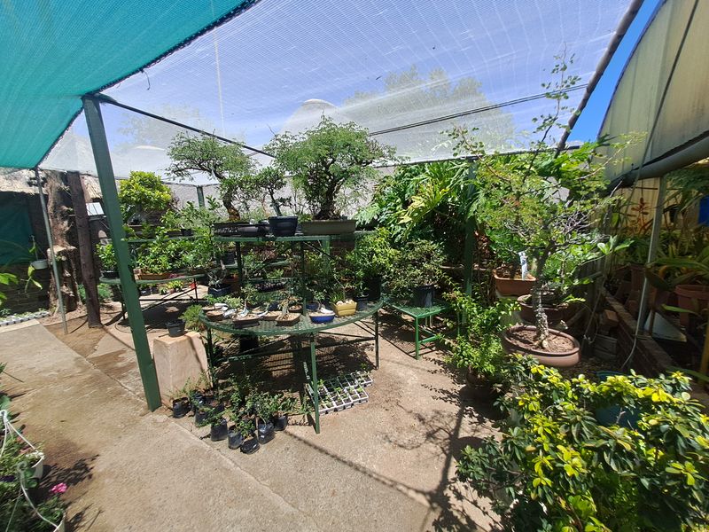 Charming Nursery for Sale – A Blossoming Business Opportunity! - Photo 8