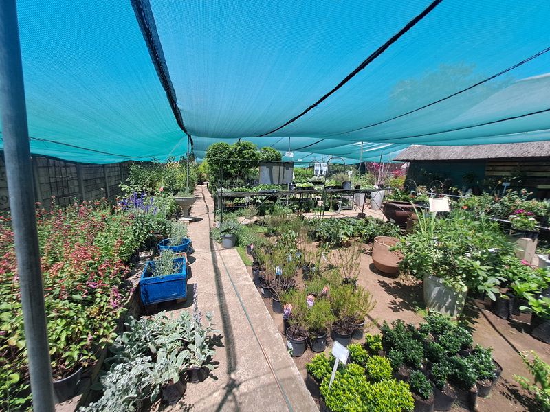 Charming Nursery for Sale – A Blossoming Business Opportunity! - Photo 10