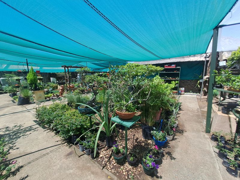 Charming Nursery for Sale – A Blossoming Business Opportunity! - Photo 7