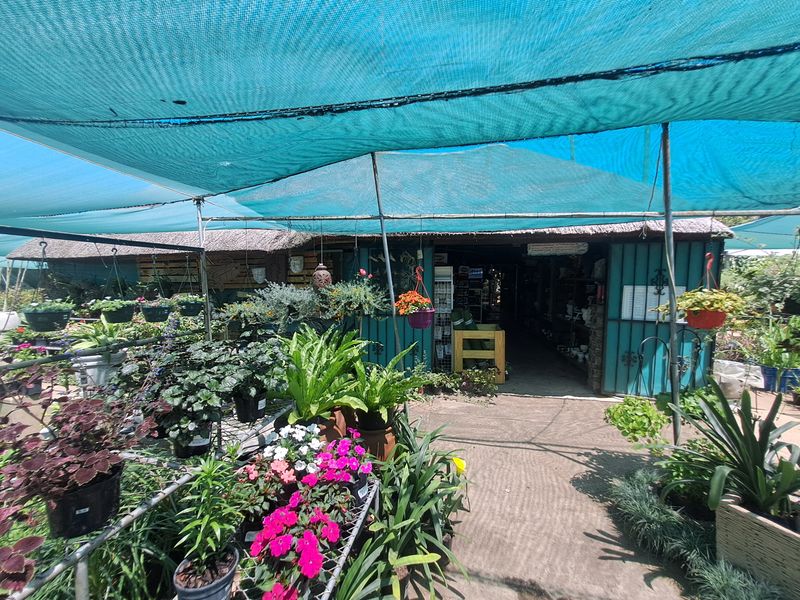 Charming Nursery for Sale – A Blossoming Business Opportunity! - Photo 4