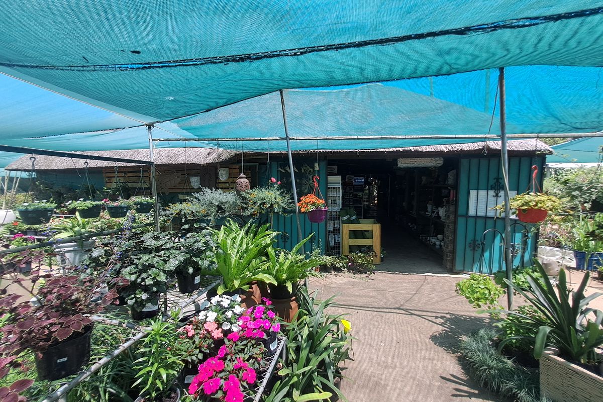 Charming Nursery for Sale – A Blossoming Business Opportunity! - Photo 4